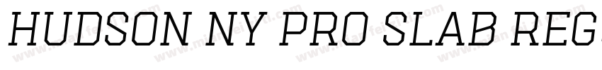 Hudson NY Pro Slab Regular字体转换